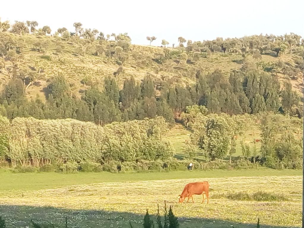 Villa Herdade Da Maxuqueira *
