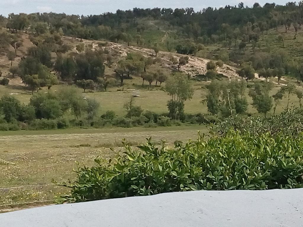 Herdade Da Maxuqueira Gaviao