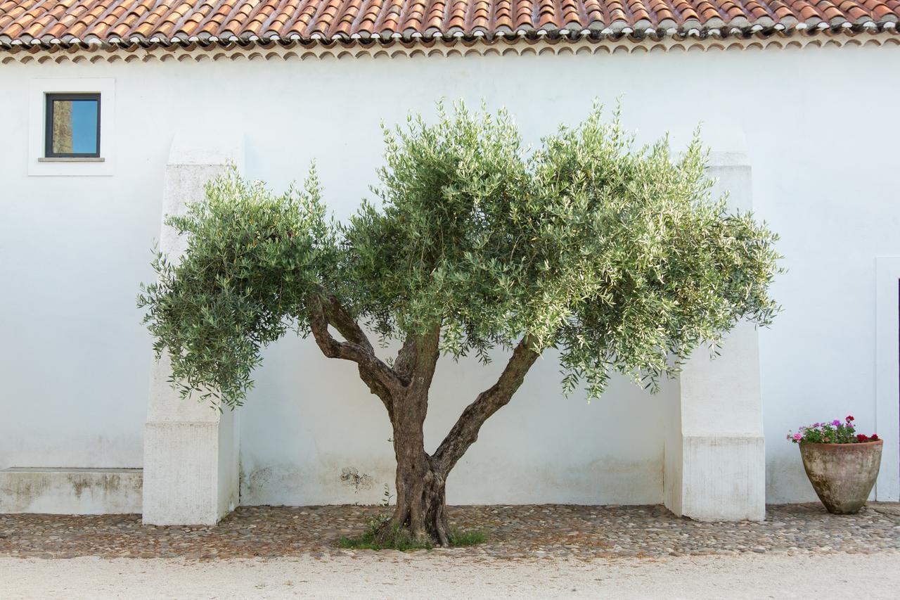 Herdade Da Maxuqueira Villa *